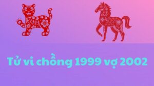 chồng 1999 vợ 2002 có hợp không