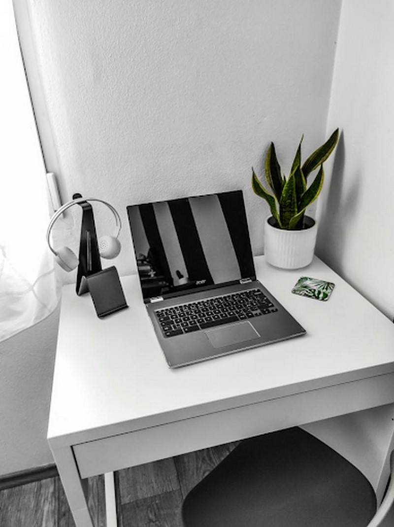 Cây lưỡi hổ mini đặt trên bàn làm việc